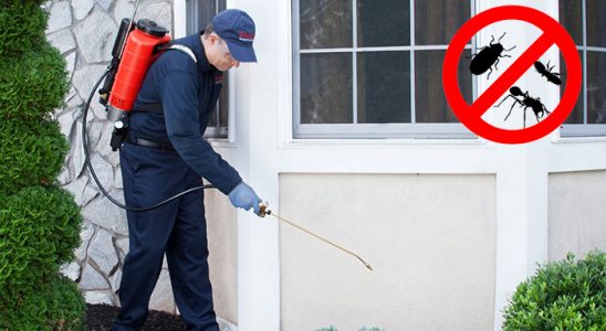 Alaybey Akrep İlaçlama böcek ilaçlama ve haşere kontrolü — ilaclama-tr.com